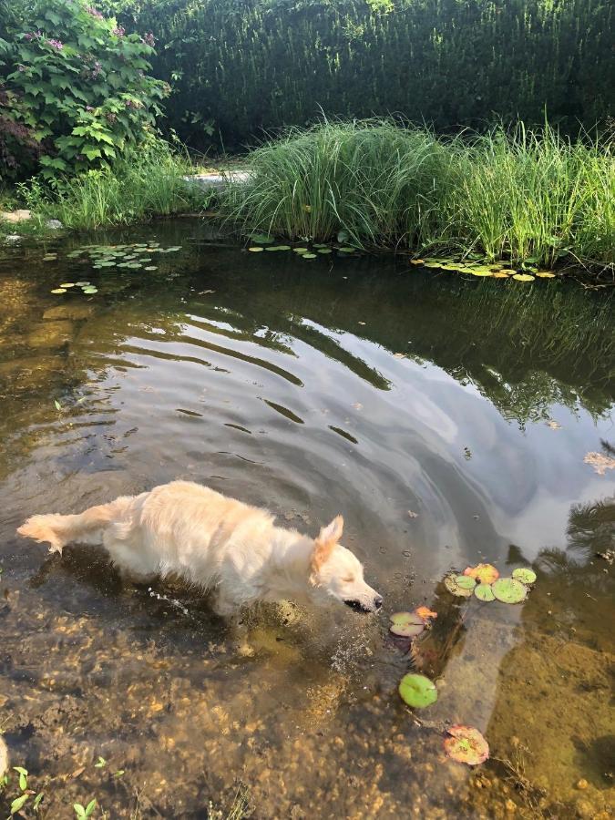 Millies Hosting - Familienurlaub Mit Hund In Kaernten Sankt Paul im Lavanttal Exterior foto