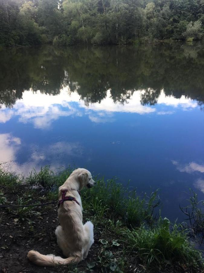 Millies Hosting - Familienurlaub Mit Hund In Kaernten Sankt Paul im Lavanttal Exterior foto