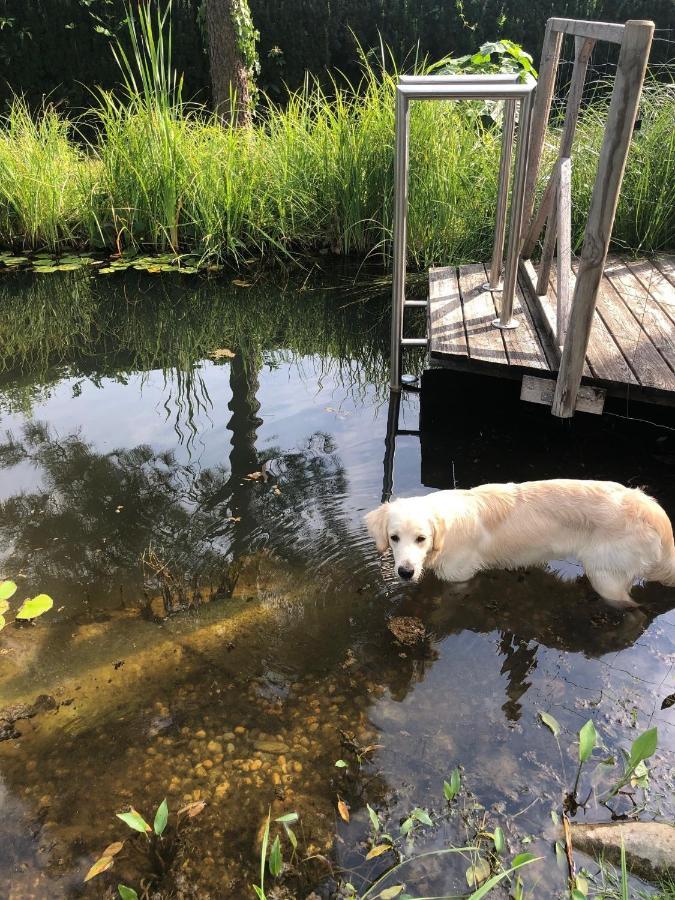 Millies Hosting - Familienurlaub Mit Hund In Kaernten Sankt Paul im Lavanttal Exterior foto