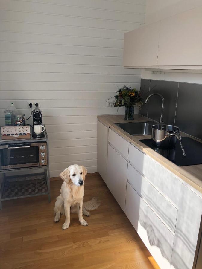 Millies Hosting - Familienurlaub Mit Hund In Kaernten Sankt Paul im Lavanttal Exterior foto