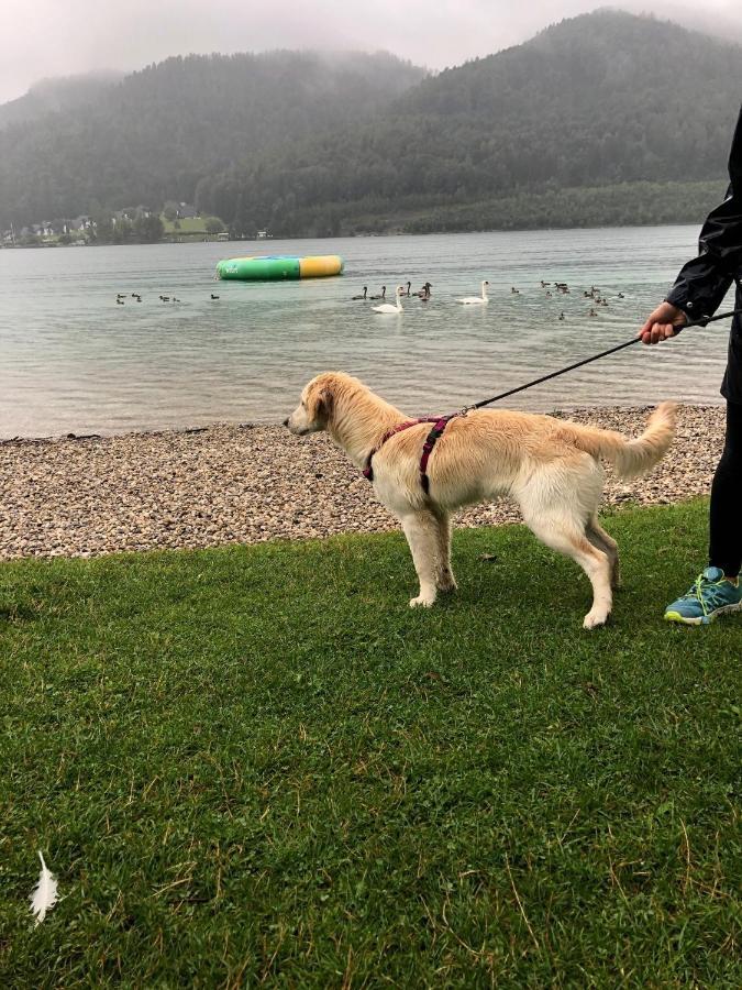 Millies Hosting - Familienurlaub Mit Hund In Kaernten Sankt Paul im Lavanttal Exterior foto