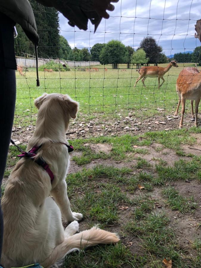 Millies Hosting - Familienurlaub Mit Hund In Kaernten Sankt Paul im Lavanttal Exterior foto